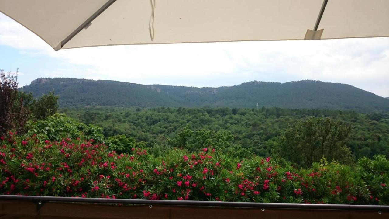 Hotel Au Relais Provencal Bagnols-en-Forêt Zewnętrze zdjęcie
